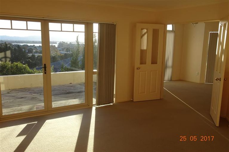 Photo of property in 29 Hazelnut Way, Bellevue, Tauranga, 3110