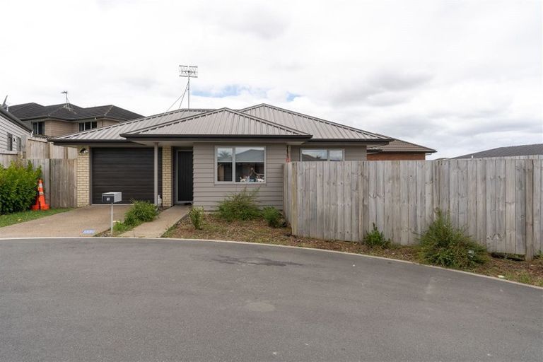 Photo of property in 18 Taotahi Avenue, Dinsdale, Hamilton, 3204