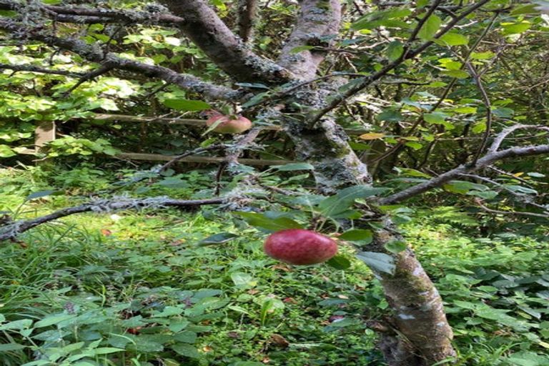 Photo of property in 140 Cecil Road, Wadestown, Wellington, 6012