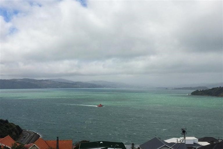 Photo of property in 105 Te Anau Road, Hataitai, Wellington, 6021