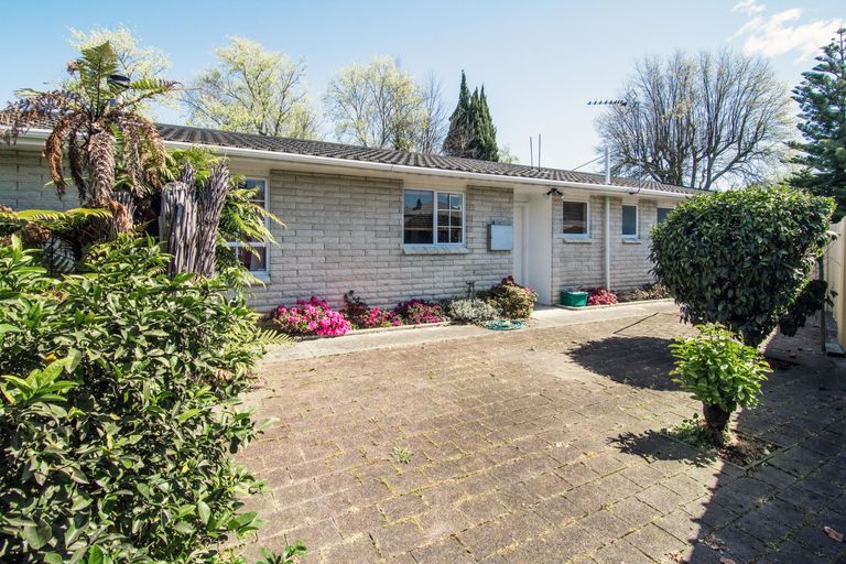 Photo of property in 130a Chapel Street, Masterton, 5810