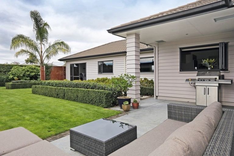 Photo of property in 6 Lardon Place, Frimley, Hastings, 4120