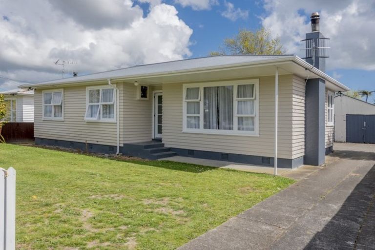 Photo of property in 9 Ferguson Street, Levin, 5510