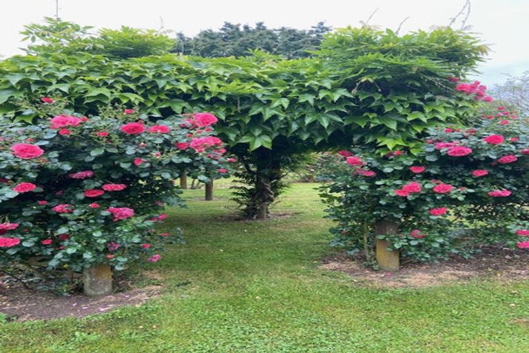 Photo of property in 46g Johnson Road, Otakiri, Whakatane, 3192