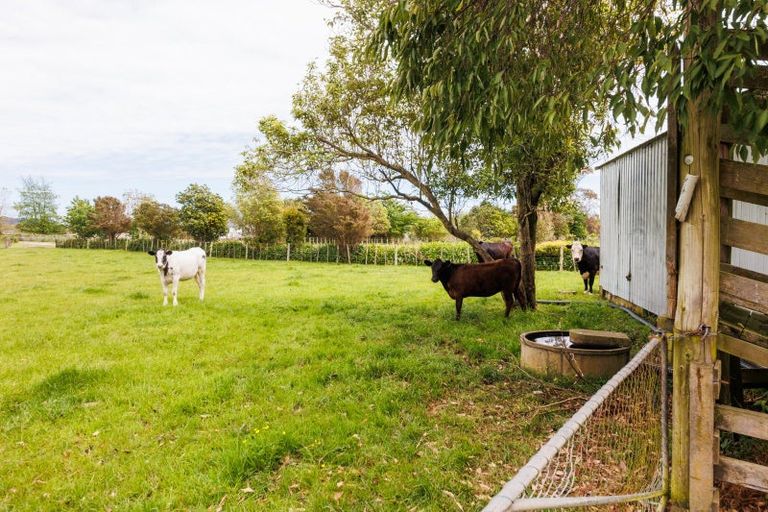 Photo of property in 279 Tararua Road, Levin, 5571