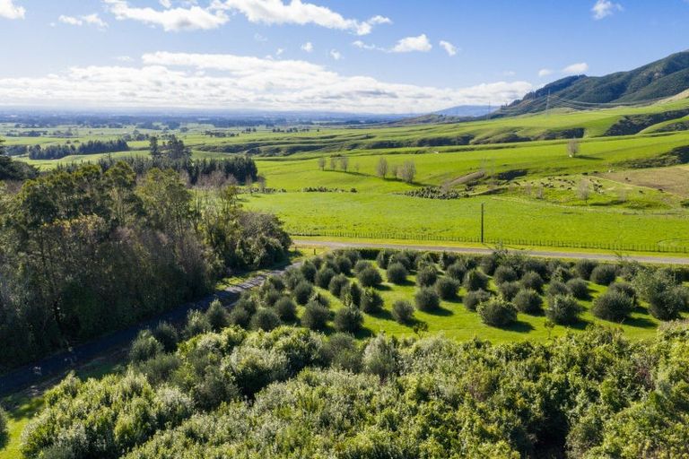 Photo of property in 328 Millricks Line, Linton, Palmerston North, 4472