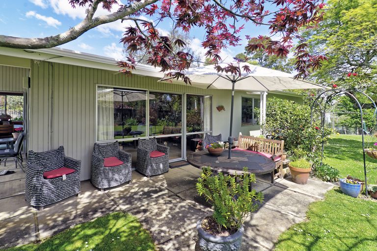 Photo of property in 49b Cornwall Street, Masterton, 5810