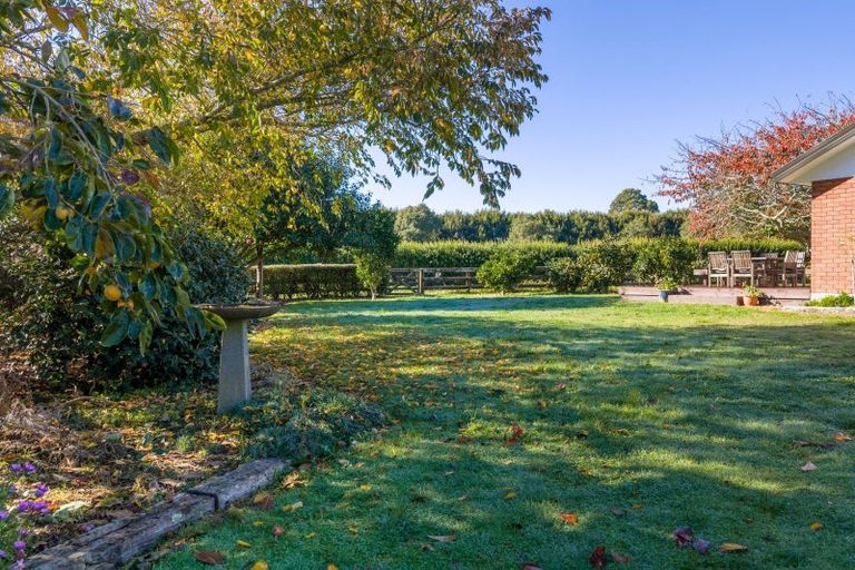 Photo of property in 310 Mystery Creek Road, Ohaupo, 3881