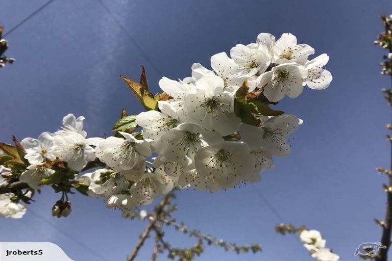 Photo of property in 66 Gladsmuir Road, Queensberry, Cromwell, 9383