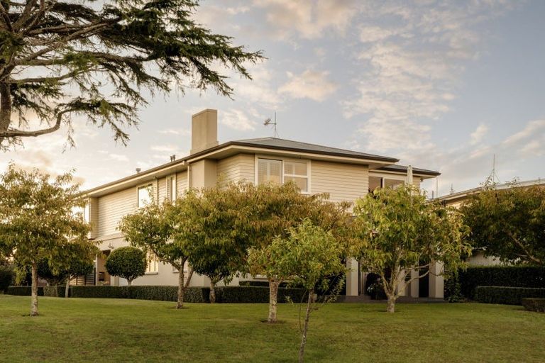 Photo of property in 75 Fifth Avenue, Tauranga, 3110