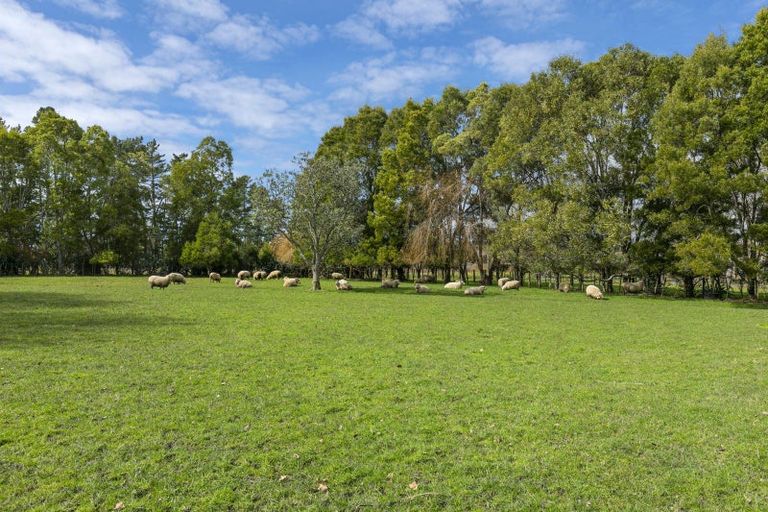 Photo of property in 84 Postman Road, Dairy Flat, Albany, 0794