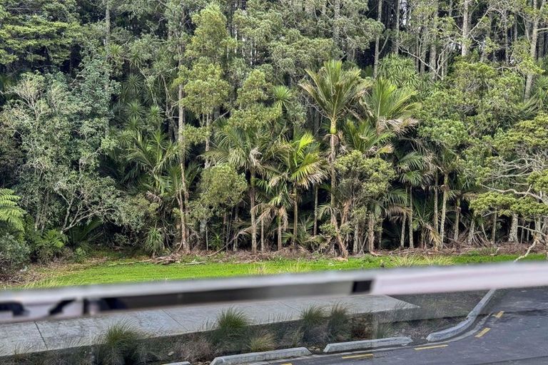 Photo of property in 67 Bushfield Drive, Flat Bush, 2019