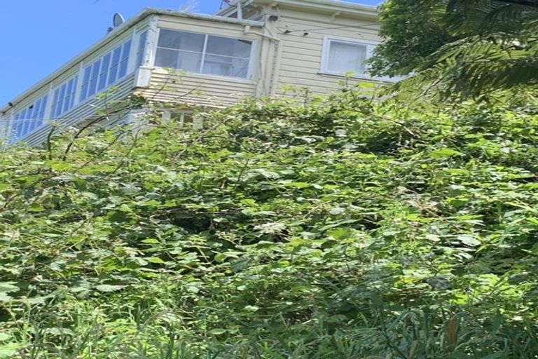 Photo of property in 46 Northland Road, Northland, Wellington, 6012