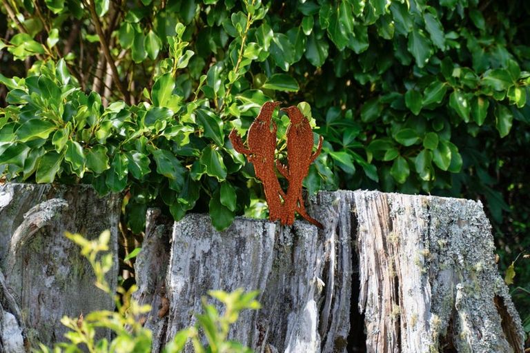 Photo of property in 5 Keystone Place, Te Kamo, Kamo, 0185