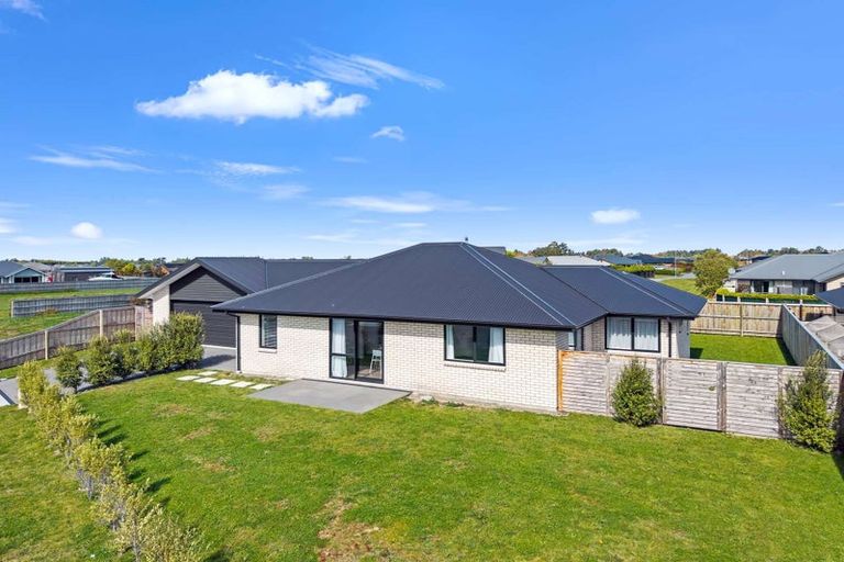 Photo of property in 31 Kingfisher Avenue, Amberley, 7410