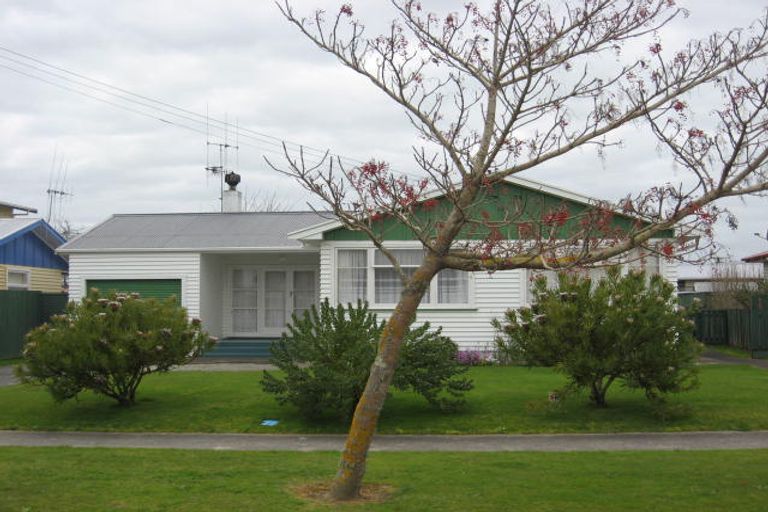 Photo of property in 52 Graham Street, Levin, 5510