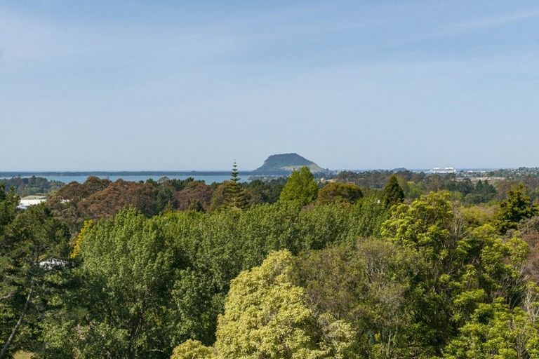 Photo of property in 140b Minden Road, Minden, Tauranga, 3176