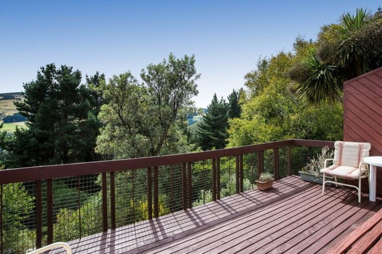 Photo of property in 213 Signal Hill Road, Opoho, Dunedin, 9010