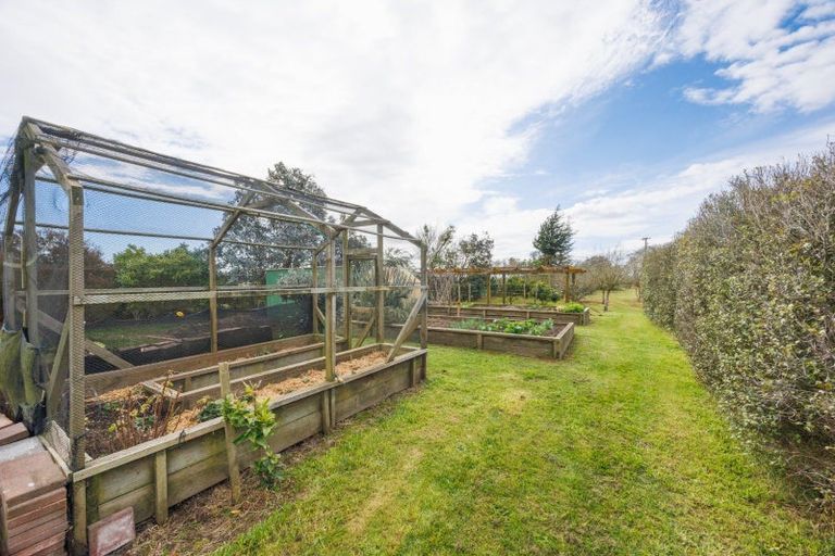 Photo of property in 366 Motuiti Road, Foxton, 4891