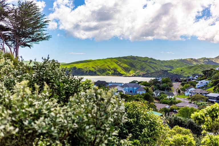 Photo of property in 77 Ayton Drive, Whitby, Porirua, 5024
