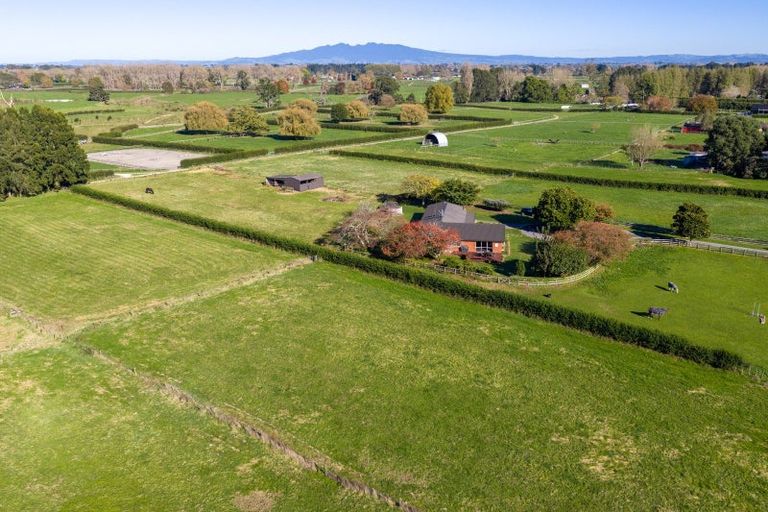 Photo of property in 310 Mystery Creek Road, Ohaupo, 3881