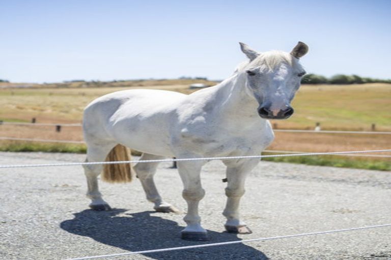 Photo of property in 1059 Hillside Manapouri Road, Manapouri, Te Anau, 9679