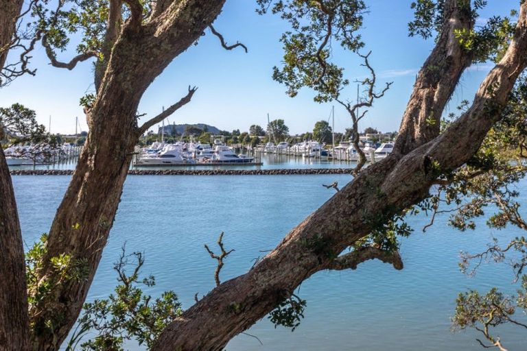 Photo of property in 113 Moana Anu Anu Avenue, Whangamata, 3620