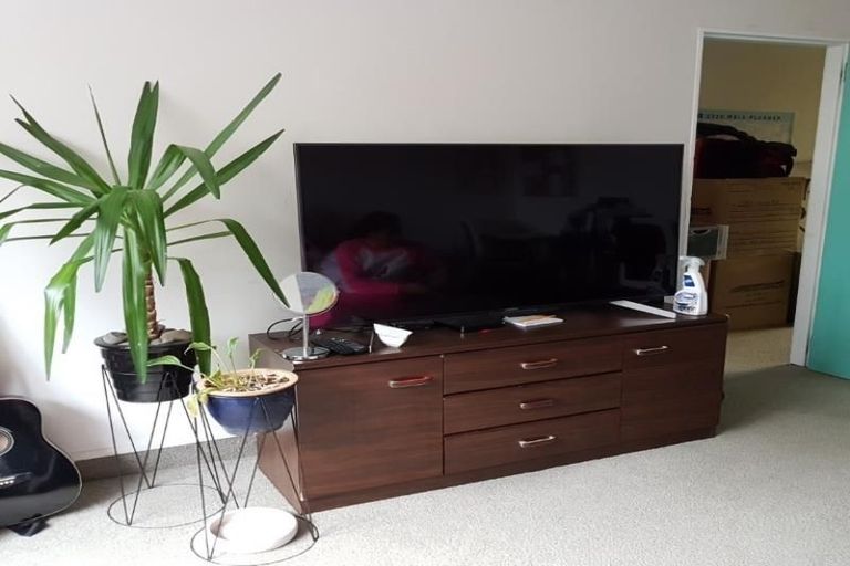 Photo of property in 3a Boyd Terrace, Newtown, Wellington, 6021