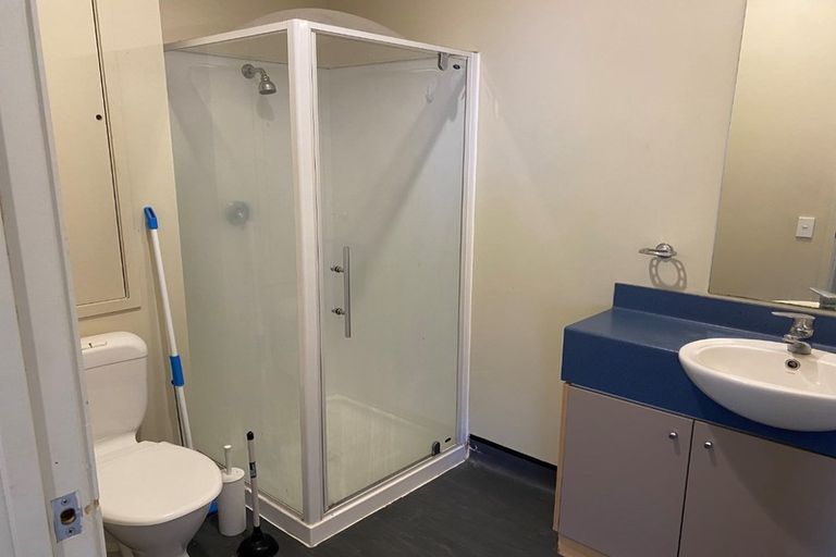 Photo of property in Hanson House, 1a/27 Hanson Street, Mount Cook, Wellington, 6021