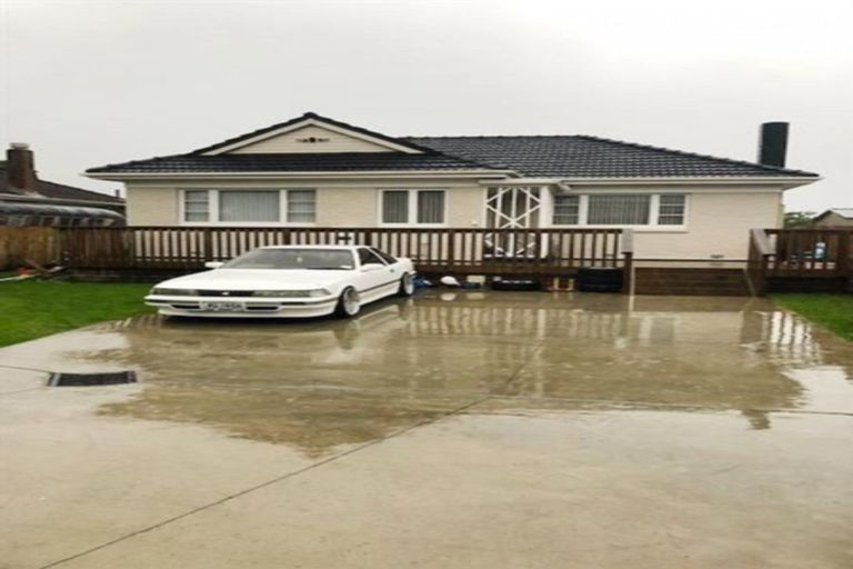 Photo of property in 18 Norana Avenue, Favona, Auckland, 2024