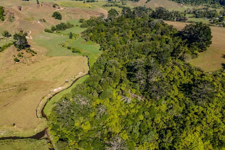 Photo of property in 427 Mataro Road, Onaero, Urenui, 4375