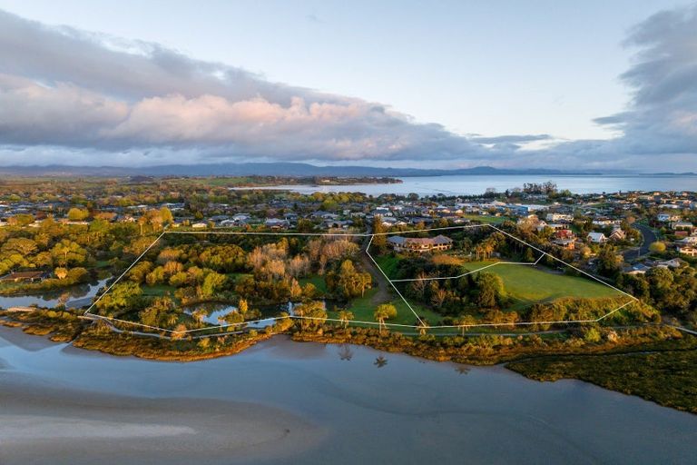 Photo of property in 20 Tinopai Drive, Omokoroa, 3114