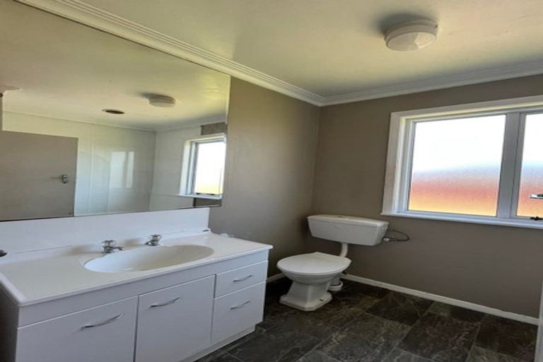 Photo of property in 122 Tiro Tiro Road, Levin, 5510