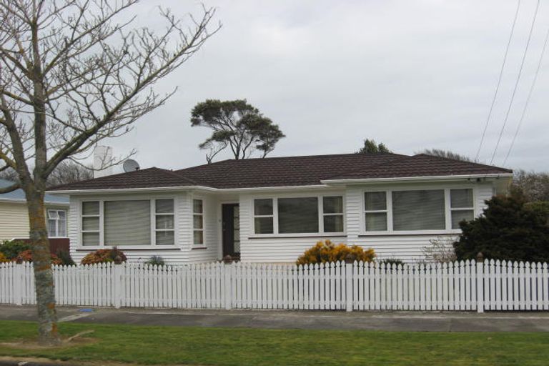 Photo of property in 53 Graham Street, Levin, 5510