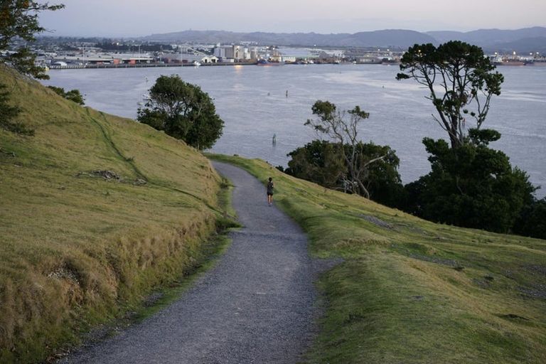 Photo of property in 43c Rita Street, Mount Maunganui, 3116