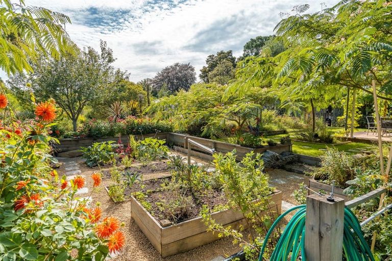 Photo of property in 126 Colombo Road, Masterton, 5810