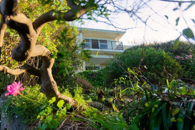 Photo of property in 282 Scarborough Street, Kaikoura, 7300