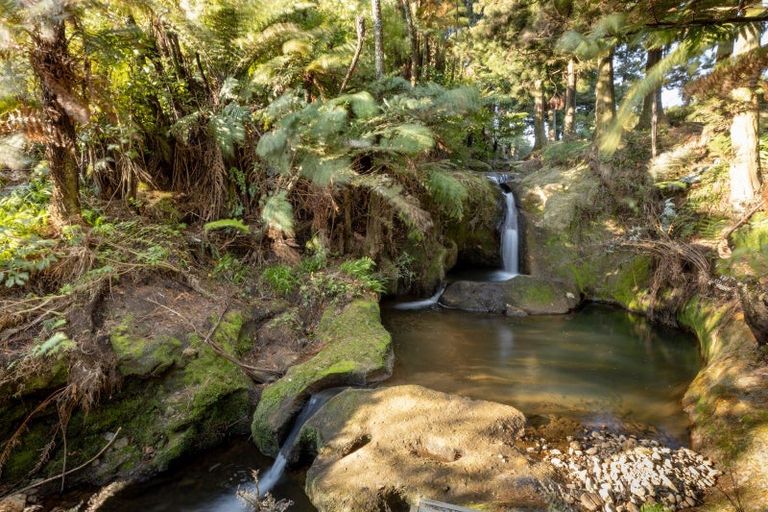 Photo of property in 115 Ngatitangata Road, Waihi, 3681