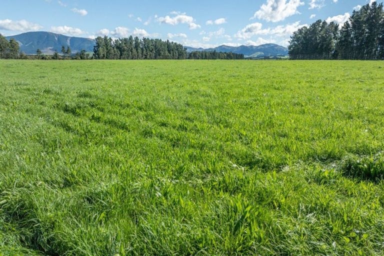 Photo of property in 375 Stonyflat Road, Loburn, Rangiora, 7472