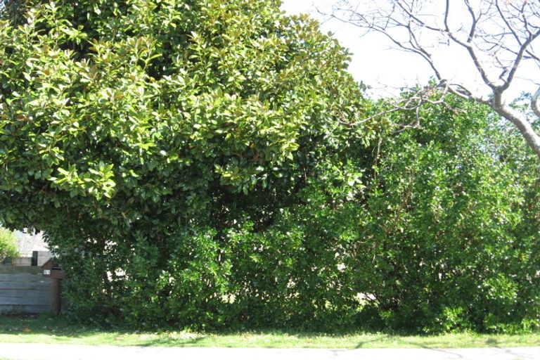 Photo of property in 51c Percy Road, Papamoa Beach, Papamoa, 3118