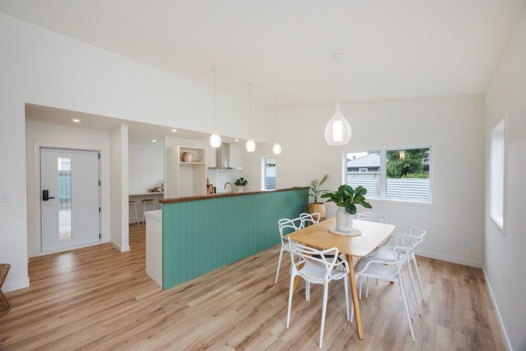 Photo of property in 121a Limbrick Street, Terrace End, Palmerston North, 4410