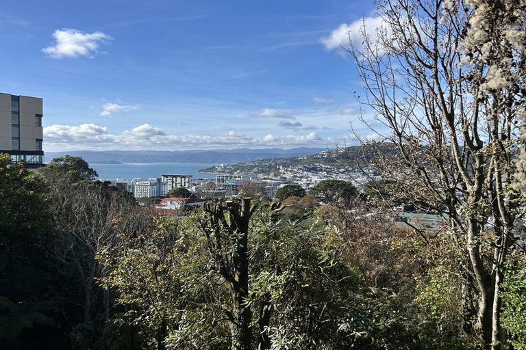 Photo of property in 70 Fairlie Terrace, Kelburn, Wellington, 6021