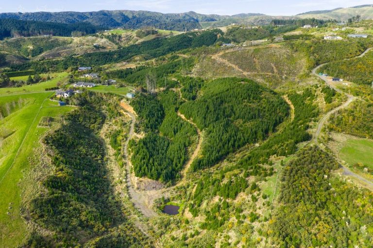 Photo of property in 12 Fleetwood Lane, Turitea, Palmerston North, 4472