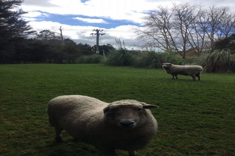 Photo of property in 114 Hamilton Road, Warkworth, 0982