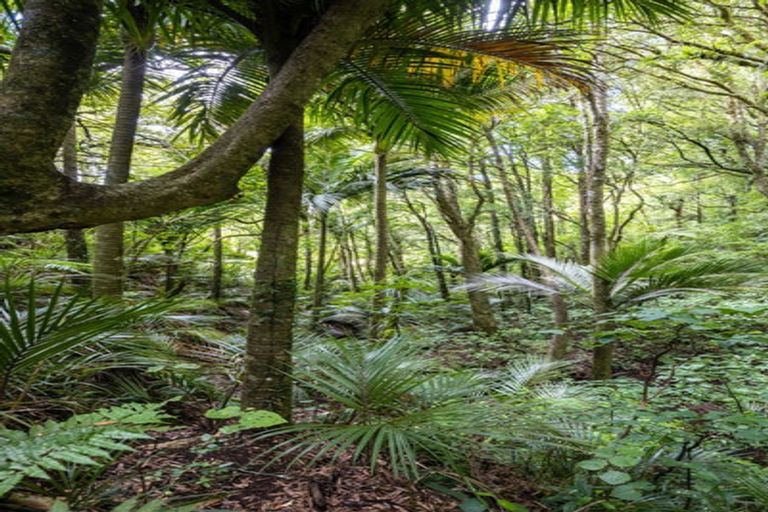 Photo of property in 531 Frankley Road, Hurworth, New Plymouth, 4371