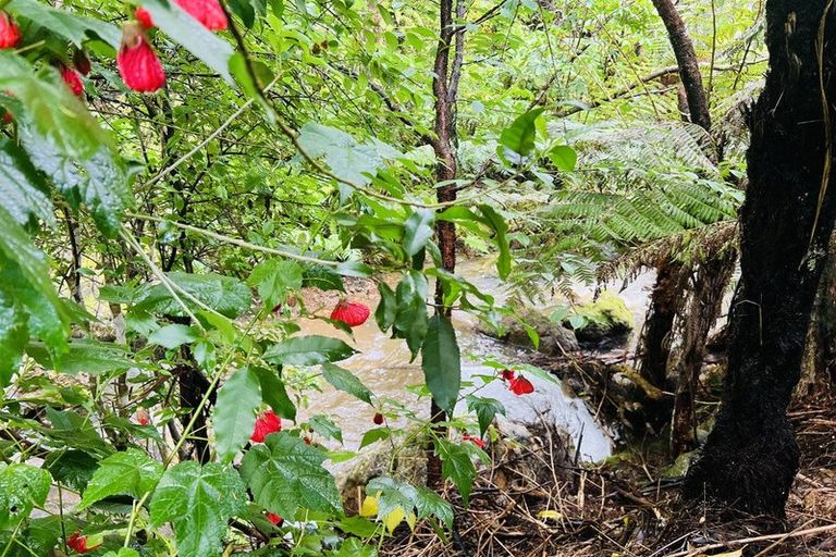 Photo of property in 275 Lillis Lane, Coromandel, 3506