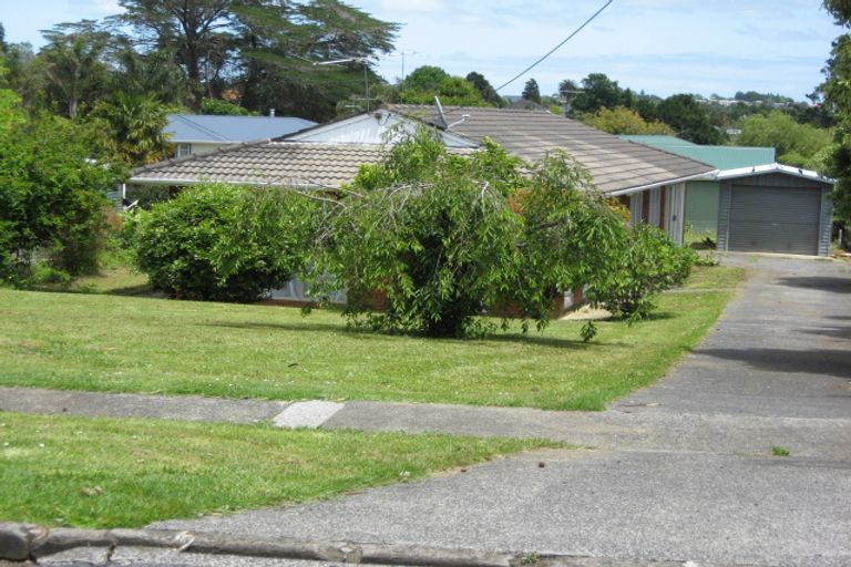 Photo of property in 119 Wellington Street, Pukekohe, 2120