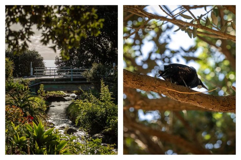 Photo of property in 224 Thames Coast Sh25 Road, Ngarimu Bay, Thames, 3575