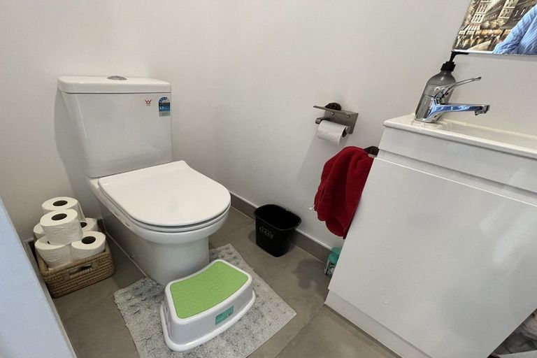 Photo of property in 52 Ivy Nola Way, Henderson, Auckland, 0612