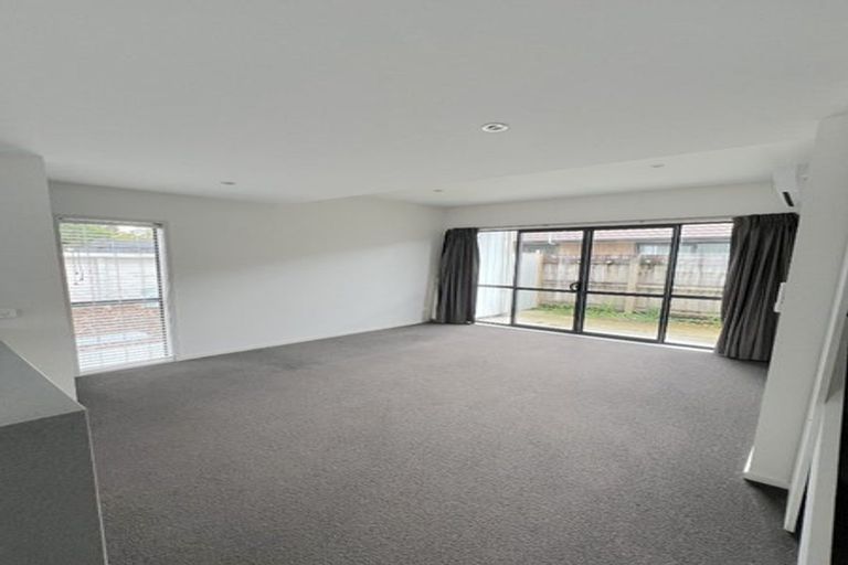 Photo of property in 195u1 Massey Street, Frankton, Hamilton, 3204